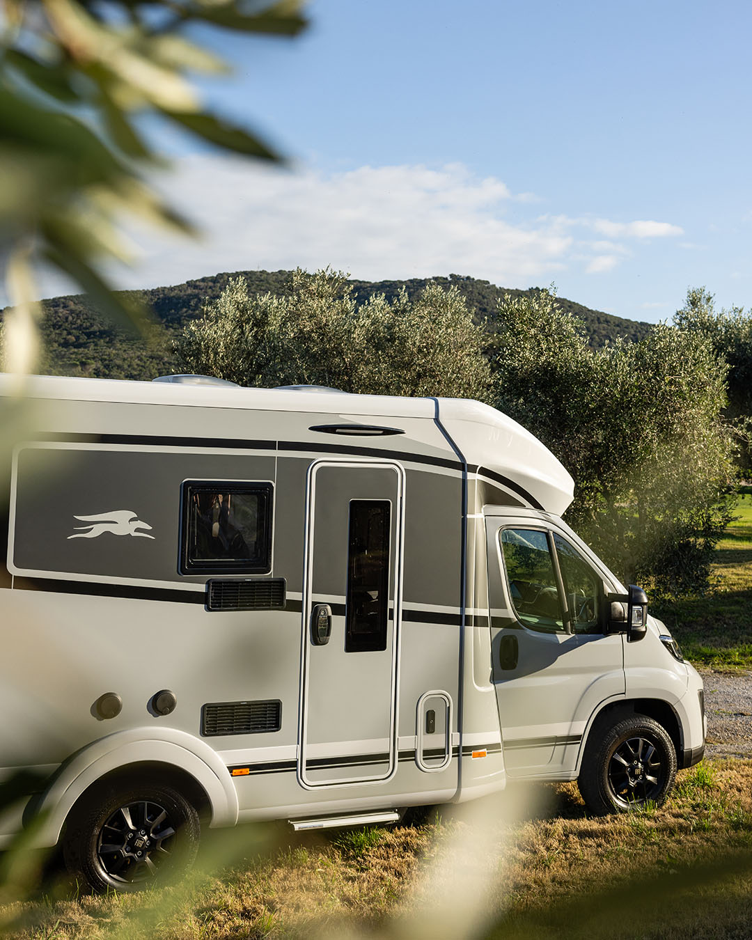 Laika Ecovip Titanio